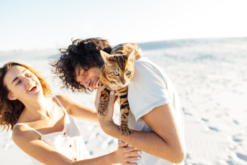 Couple traveling with a cat
